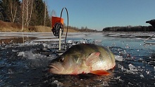 Зимняя рыбалка - занятие не для каждого. Почему?