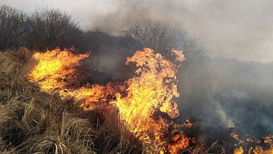 Как спасали от лесного пожара деревню на Полесье — "Горело со всех сторон!"