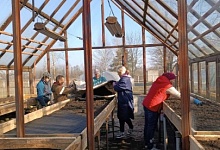 В теории и на практике! Кипит работа в школьных теплицах Лунинецкого района 