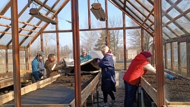 В теории и на практике! Кипит работа в школьных теплицах Лунинецкого района 