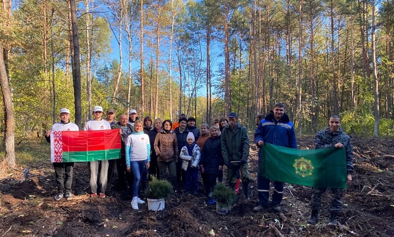 В Лунинецком районе продолжается добровольная акция "Дай лесу новае жыццё!"