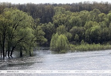 Уровень воды на Припяти вырос