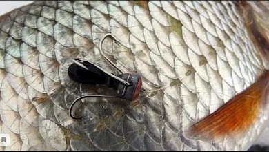 Почти 10 тыс. руб. возместили браконьеры из Столинского района. Их еще будут судить