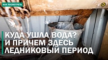 Беда деревень: куда ушла вода и почему это проблема не только Беларуси?