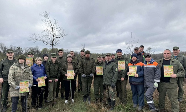 Завершается акция Министерства лесного хозяйства «Лес! Дабро! Парадак!» 