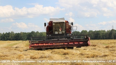 Жатва-2025 в Лунинецком районе: водителей-тысячников стало больше