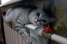 В МЖКХ рассказали об очередности при включении отопления