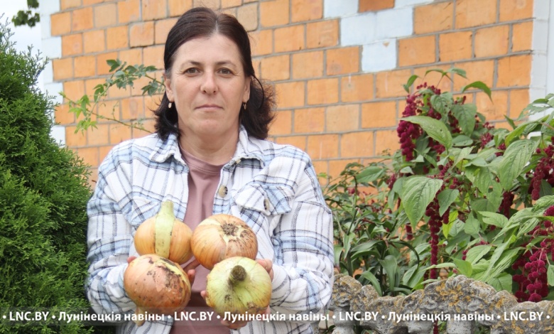 Не клубникой единой! Счастье луковое привалило в Лунинецком районе