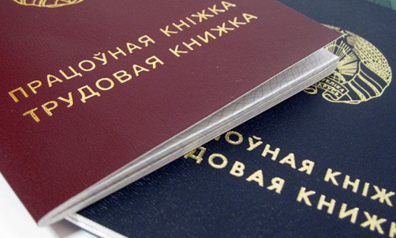 Как комиссия по занятости помогает лунинчанам найти работу