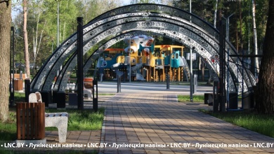 В Микашевичах состоится открытие лесопарка!