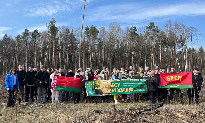 И это только начало! Новую жизнь лесу дают в Лунинецком районе