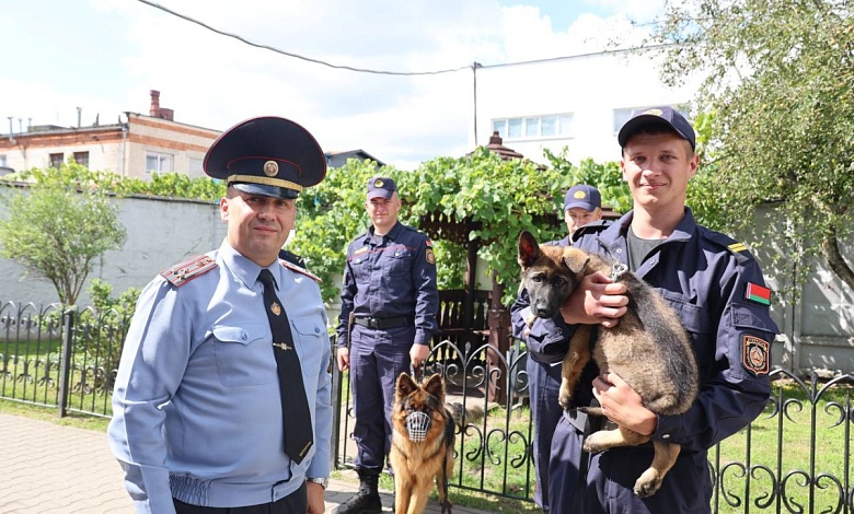 В Лунинце появилась Пальма. Необычная