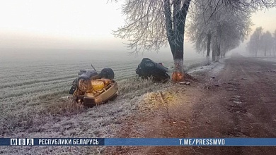 Автомобиль разорвало на части. В ДТП погибли два человека в Гомельской области