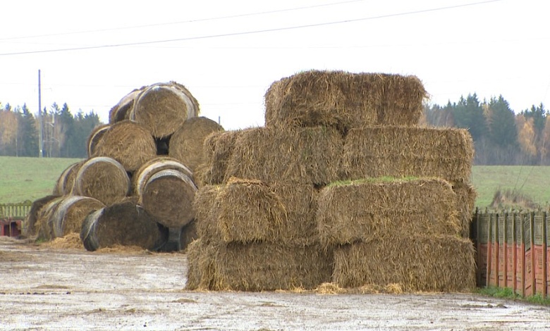 С работников предприятия взыскано более 10 тыс. рублей за некачественное сено