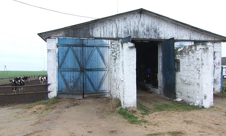 Водитель украл три тонны комбикорма. Теперь его будут судить