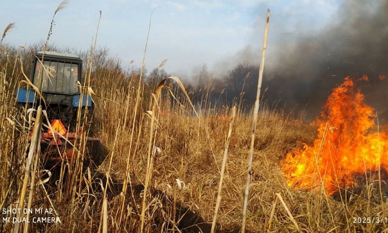 Пожар в экосистеме оперативно потушили в Лунинецком районе