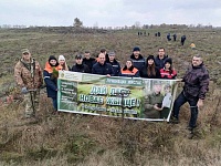 И лес садят и порядок наводят железнодорожники Лунинецкого района