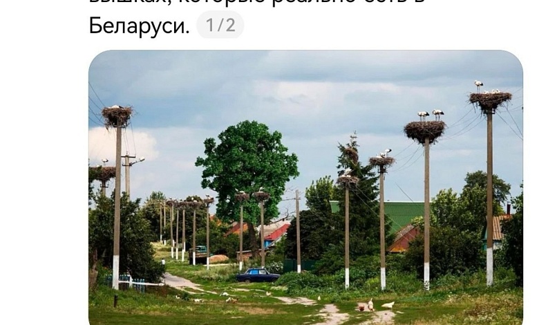 Белорусы нашли те самые ретрансляторы, о которых говорил Зеленский