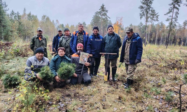 Новая жизнь! Лес сажают в Лунинецком лесхозе! 