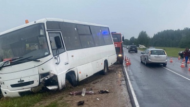 Автобус перевозил детей и столкнулся с легковушкой