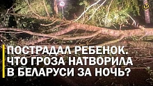 Что натворила стихия: Белорусы вспоминают ночную грозу, как кошмар