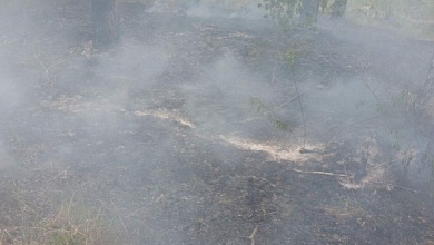Лесной пожар обнаружен в Лунинецком районе