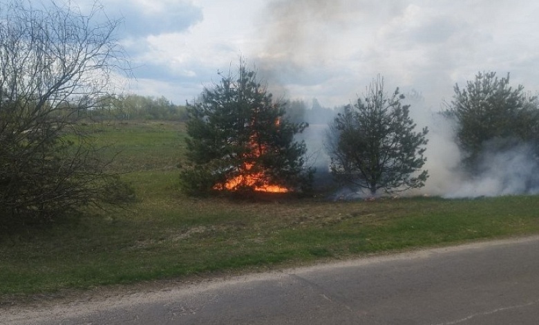 Вовремя успели ликвидировать загорание возле леса в Лунинецком районе