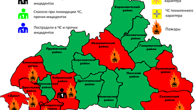 Восемь пожаров зарегистрировано в Брестской области за сутки