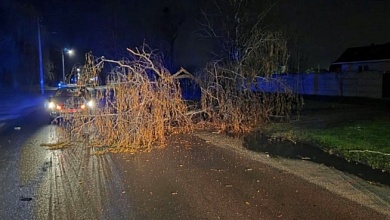 Спасатели ликвидировали последствия непогоды в Брестской области