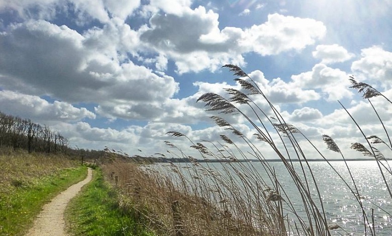 Грозы и сильный ветер! Оранжевый уровень опасности объявлен в Беларуси 22 июня 