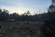 Очередной лесной пожар в Брестской области