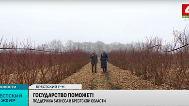 Брестская область в тройке лидеров по количеству субъектов малого и среднего бизнеса