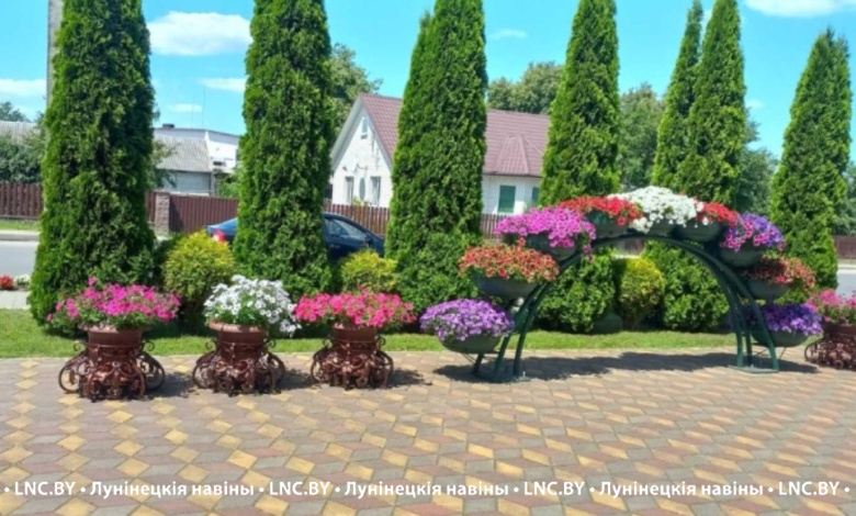 В Лунинце проводят конкурс на лучшее цветочное оформление