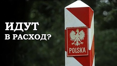 Курская область и англосаксонская мясорубка. Подожжёт ли Польша фитиль?