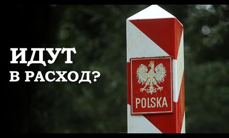 Курская область и англосаксонская мясорубка. Подожжёт ли Польша фитиль?