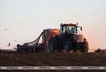 Госконтроль выявляет нарушения при проведении весенне-полевых работ в Брестской области. Все подробности