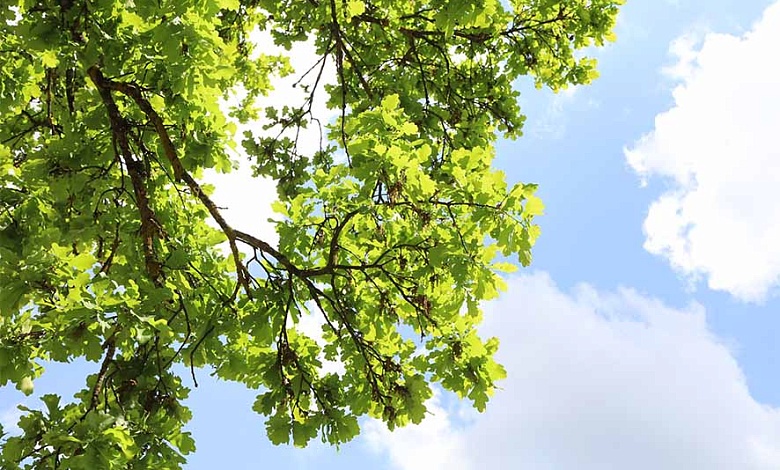 Какие выявили нарушения природоохранного законодательства в Брестской области 