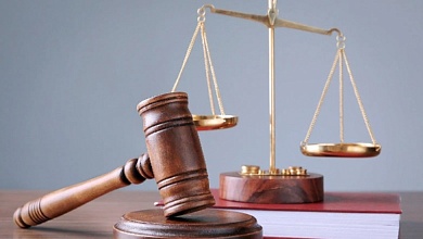 Молодую маму из Лунинца осудили за мошенничество (видео)