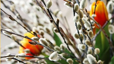 Вербное воскресенье: расписание богослужений в храмах Лунинца и Микашевичей