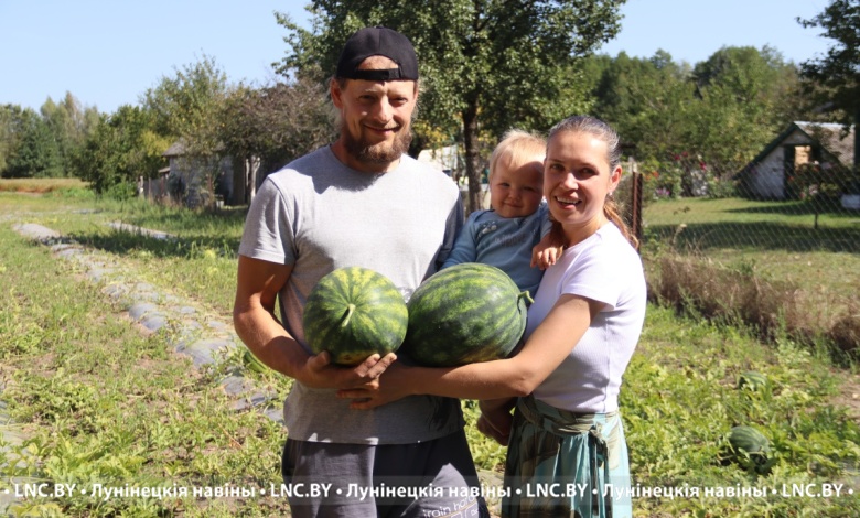 В гармонии с миром | Как выращивают арбузы в Лунинецком районе