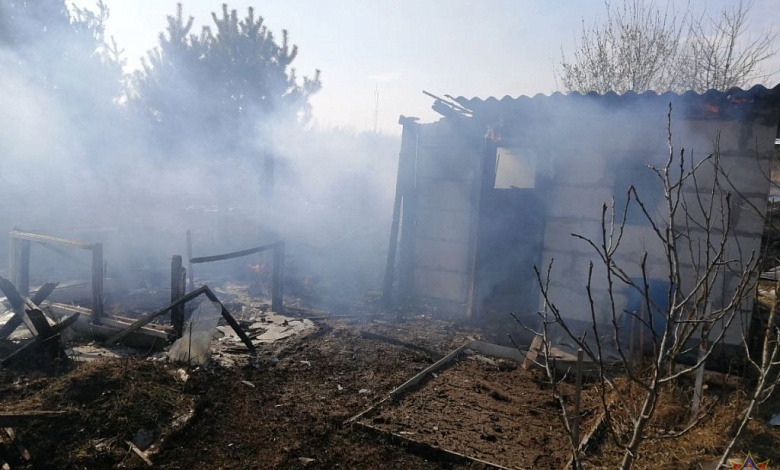 Оттуда уже пламя пошло! Спасатели тушили пожар в садовом товариществе. Видео