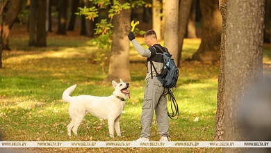 МЖКХ предлагает обсудить регулирование вопросов в области обращения с животными 