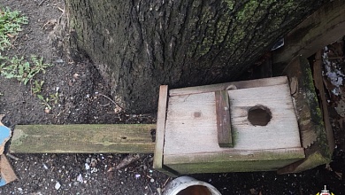 В Лунинце на мужчину упал скворечник. В результате - тяжкие телесные повреждения