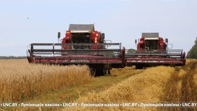 Зерноуборочная кампания на Лунинетчине идет активными темпами