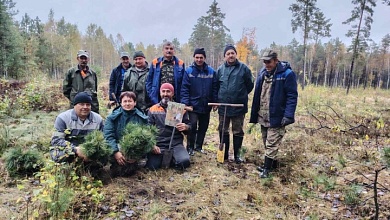 Новая жизнь! Лес сажают в Лунинецком лесхозе! 