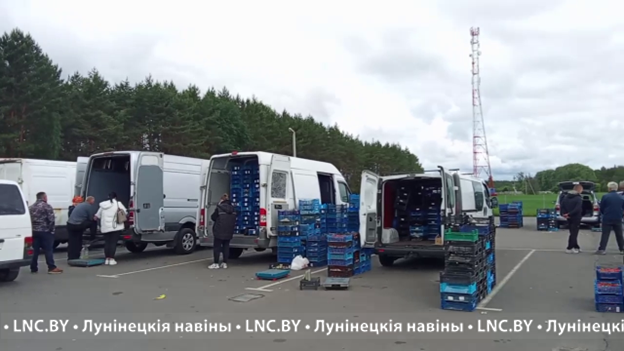 Клубничный сезон: закупщиков пока намного больше, чем продавцов. Лунинецкий район 