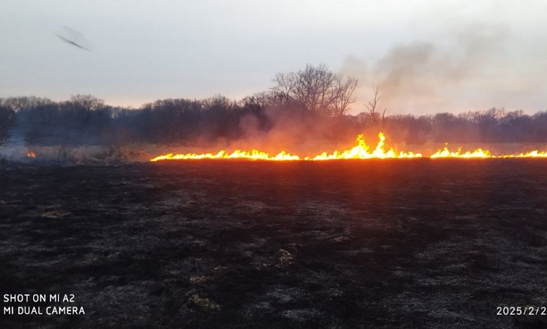 Лесной пожар тушили в Лунинецком районе