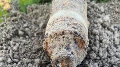 При переборке картофеля обнаружили снаряд в Лунинецком районе