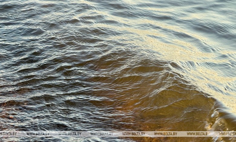 Мужчина утонул в канале возле Микашевичей 