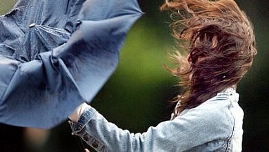 Грозы и сильный ветер прогнозируют в Беларуси 25 августа